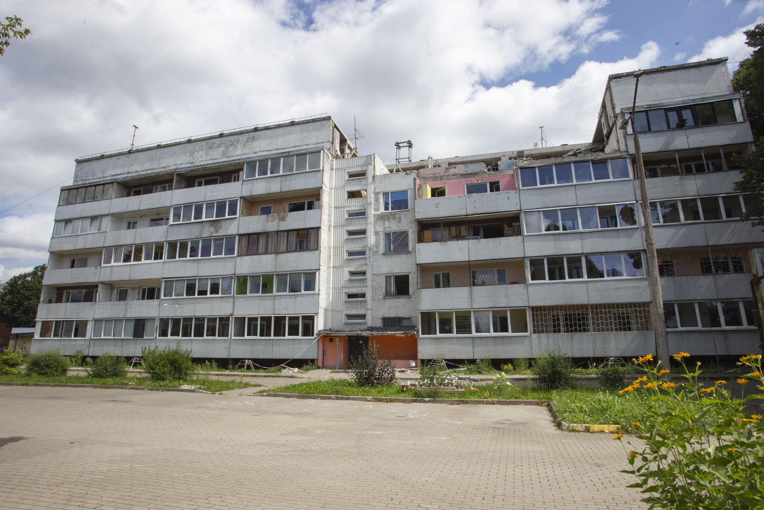 Фото: Вилена Краснитская