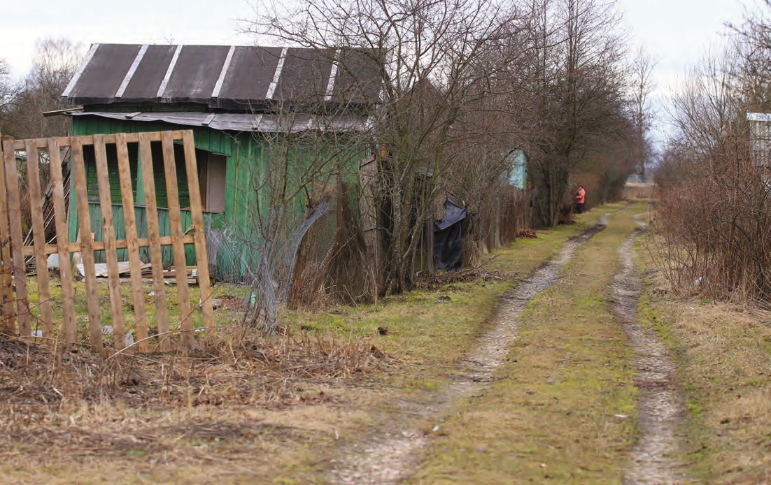 Фото Вилены Красницкой
