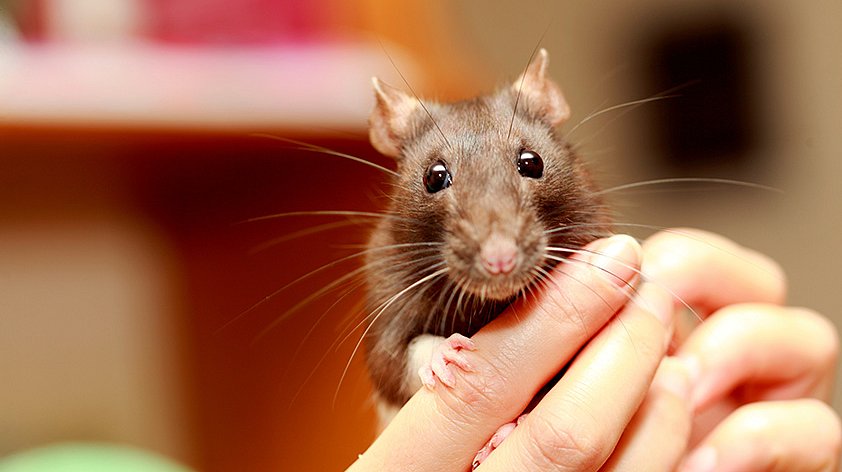 Фото: соцсети