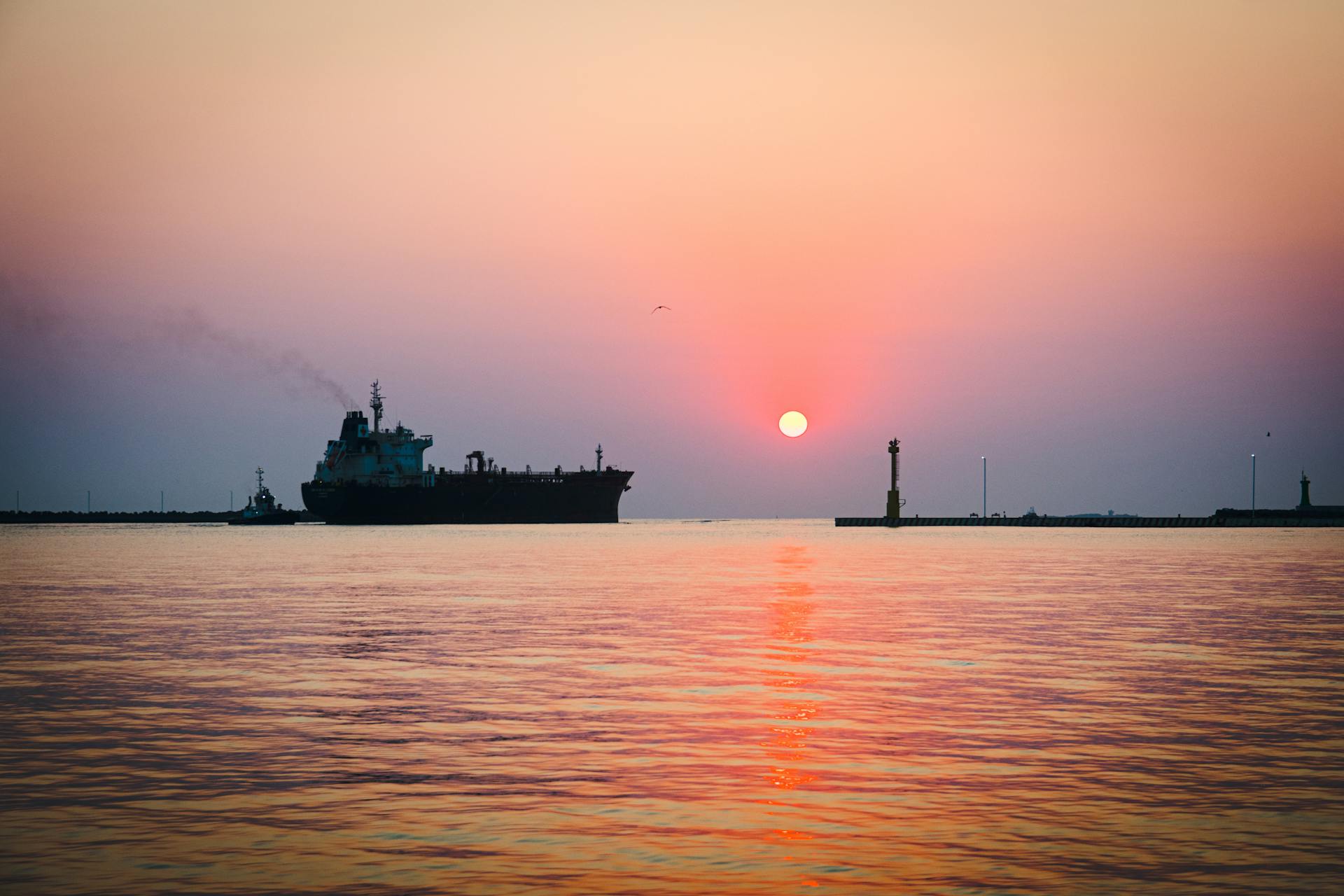 Pexels.com / Oscar Dominguez