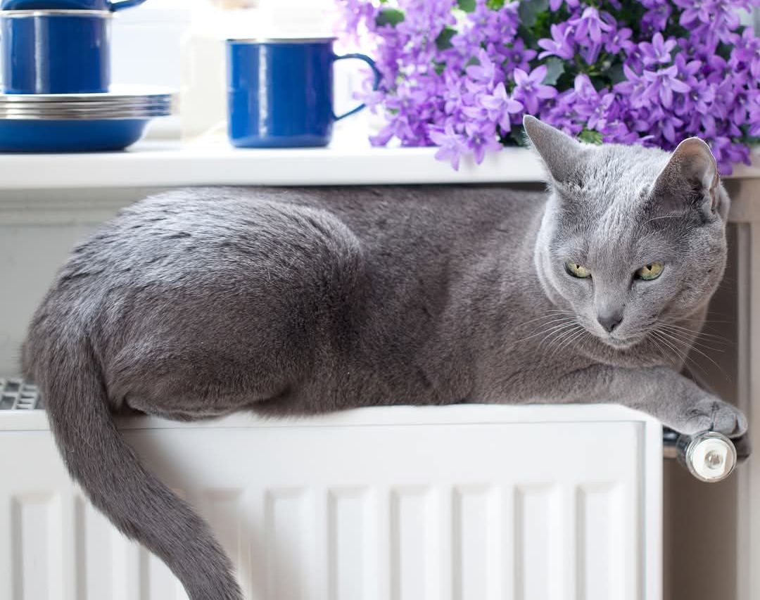 Facebook.com / RĪGAS SILTUMS