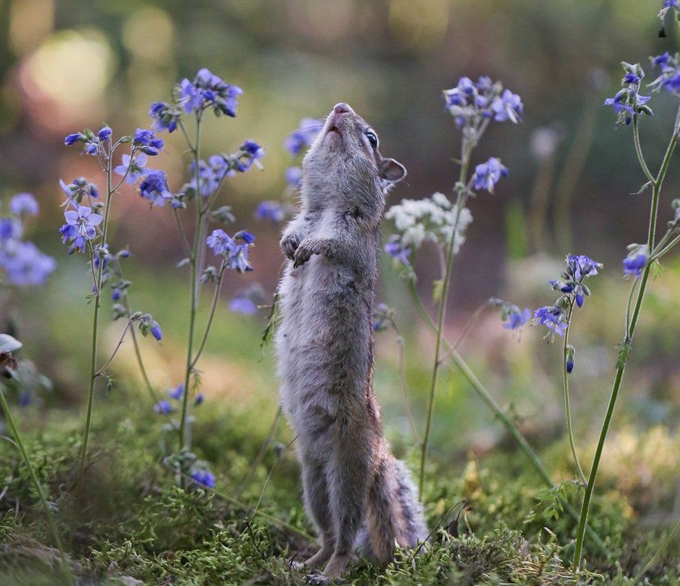 Facebook / National Geographic Россия